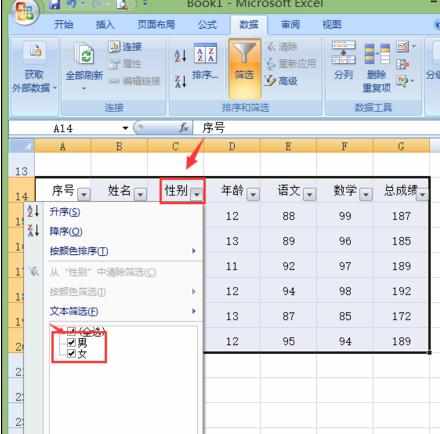 Excel中2007版进行高级筛选设置且复制筛选的操作技巧