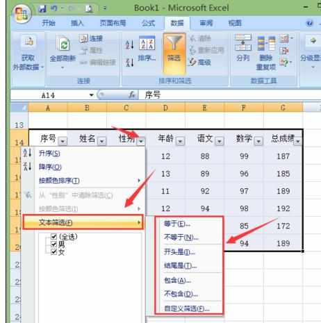 Excel中2007版进行高级筛选设置且复制筛选的操作技巧