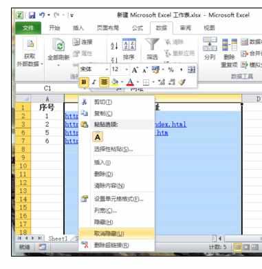 Excel中2010版进行工作薄实现显示或隐藏行和列的操作技巧