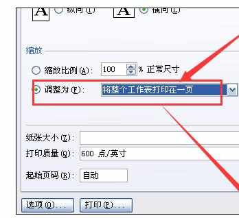 Excel中进行设置横竖打印一张的操作技巧