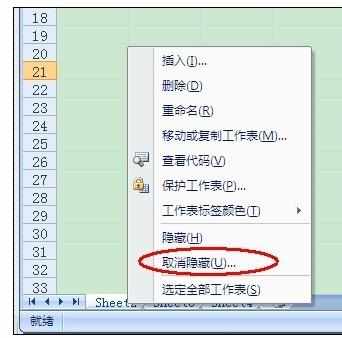Excel中2007版进行隐藏和取消工作表的操作方法