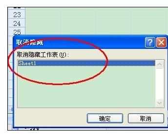 Excel中2007版进行隐藏和取消工作表的操作方法