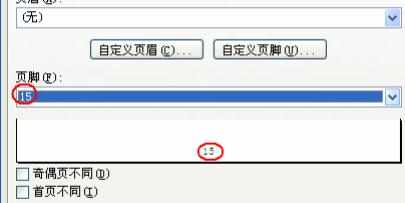 Excel中2007版进行设置自定义页码的操作方法