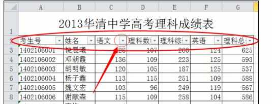 Excel中2010版进行数据自动筛选功能的操作方法