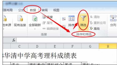 Excel中2010版进行数据自动筛选功能的操作方法