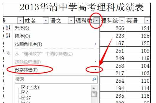 Excel中2010版进行数据自动筛选功能的操作方法