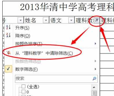 Excel中2010版进行数据自动筛选功能的操作方法