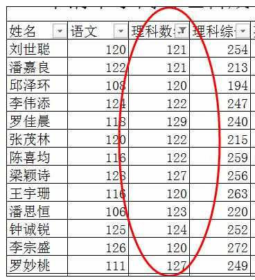 Excel中2010版进行数据自动筛选功能的操作方法