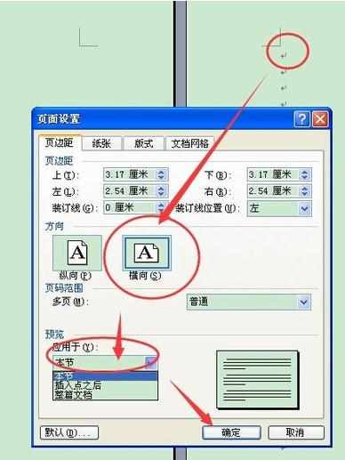 word2003怎样将页面设置横向纵向