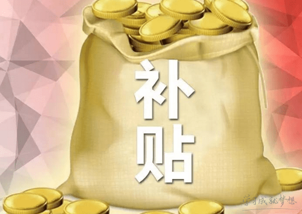 申报补贴资金请示范文