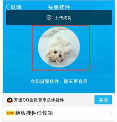 如何更换手机qq头像