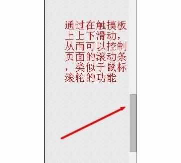 笔记本电脑触摸板点击滑动都失效怎么解决