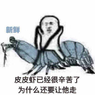 皮皮虾我们走素材下载 皮皮虾我们走图片表情包