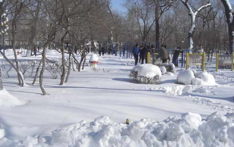 冬天的雪景作文_描写冬季雪景作文