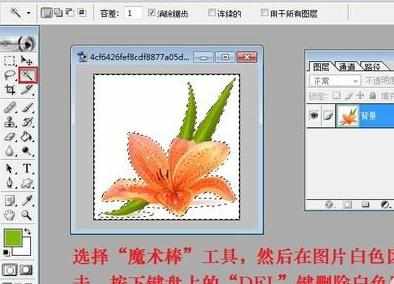 如何使用photoshop制作网页