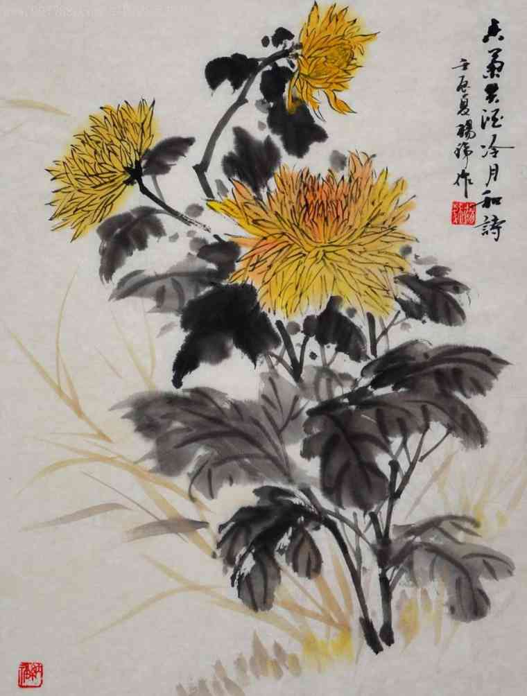 关于中国画写意菊花图片欣赏