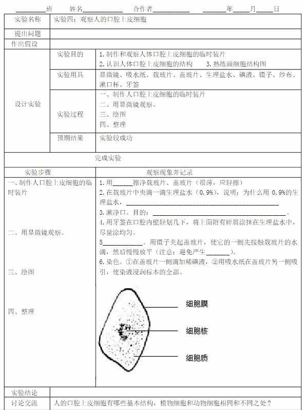 七年级上生物实验报告单