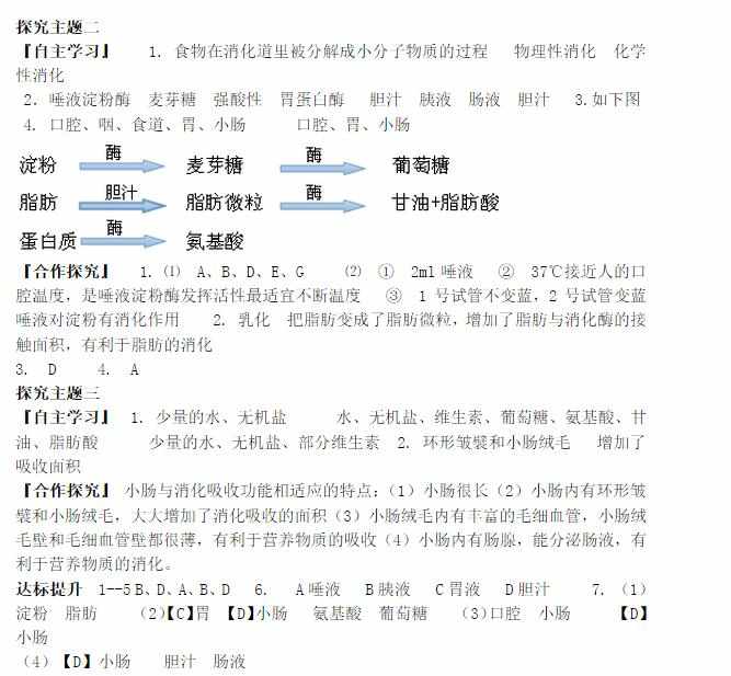 七年级下册生物导学答案