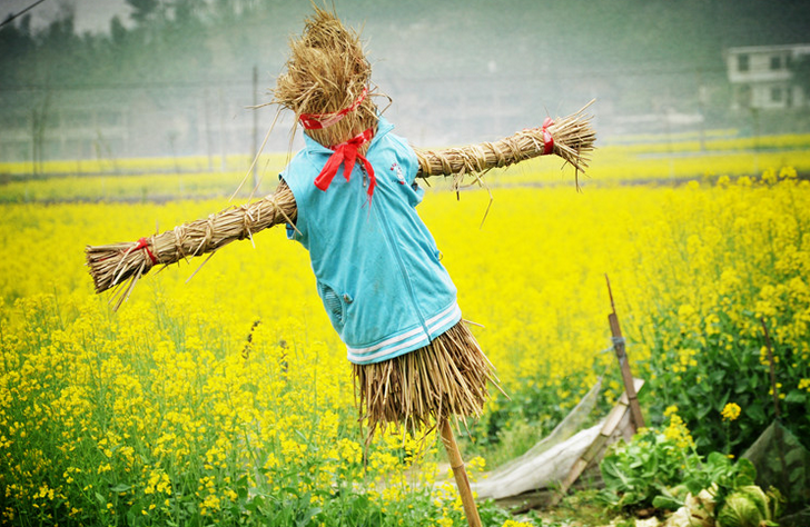 稻草人反思回顾