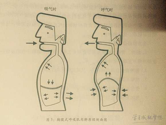 锻炼气息的方法