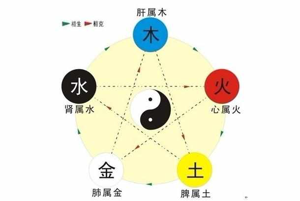 中医五行五脏六腑的关系