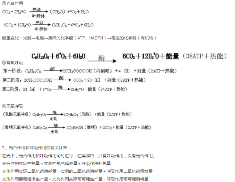 2017高一生物公式汇总