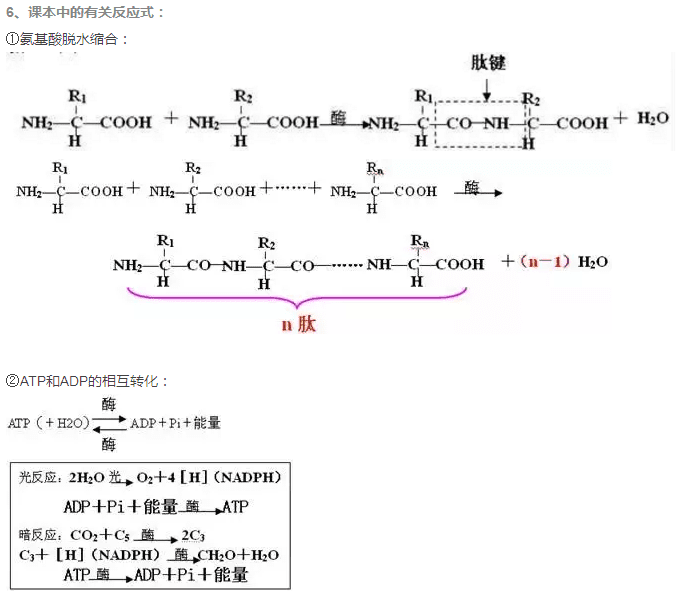 2017高一生物公式汇总