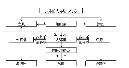 高中生物必修三第一章概念图总结