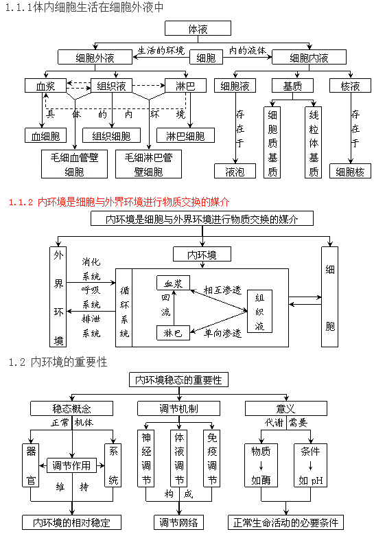 高中生物必修三第一章概念图总结