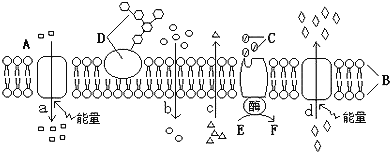 高中生物必修一第四章练习试卷