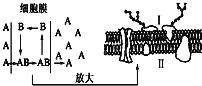 高中生物必修一第四章练习试卷