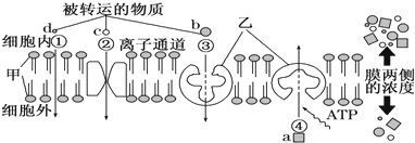 高中生物必修一第四章练习试卷