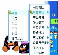 qq宠物企鹅怎么结婚