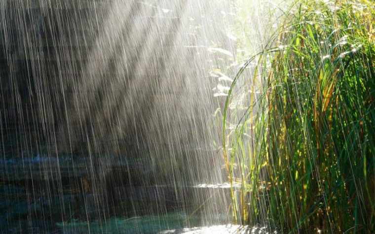 关于下雨天早安心语