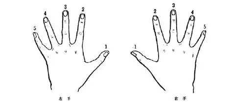 钢琴五种基本指法详解