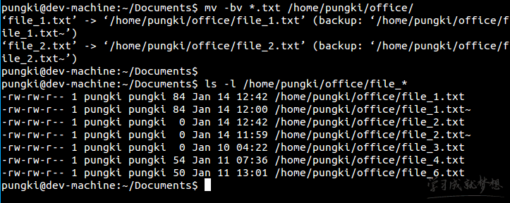 Linux文件与目录操作利器mv命令解析