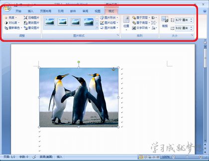  PowerPoint2007中添加边框或阴影来改进图像或形状的外观的方法