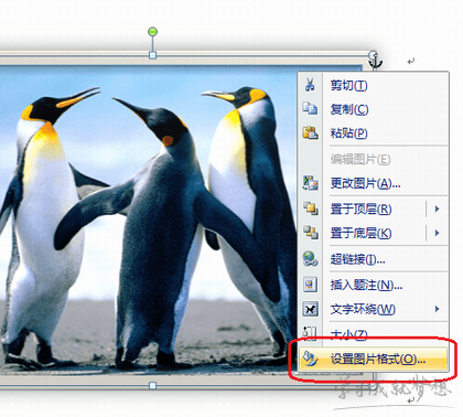  PowerPoint2007中添加边框或阴影来改进图像或形状的外观的方法