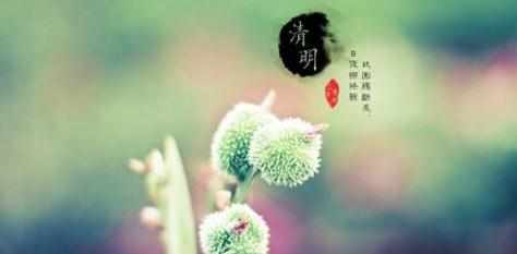 清明节起源作文600字