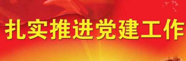 2017年医院党建工作总结范文_ 2017优秀医院党建工作总结