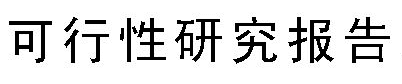 项目可行性研究报告