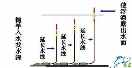 夏天钓鲤鱼调漂技巧