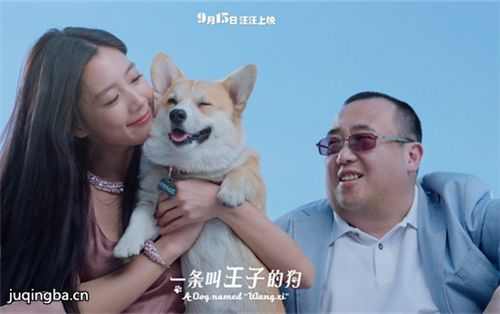 一条叫王子的狗剧情介绍