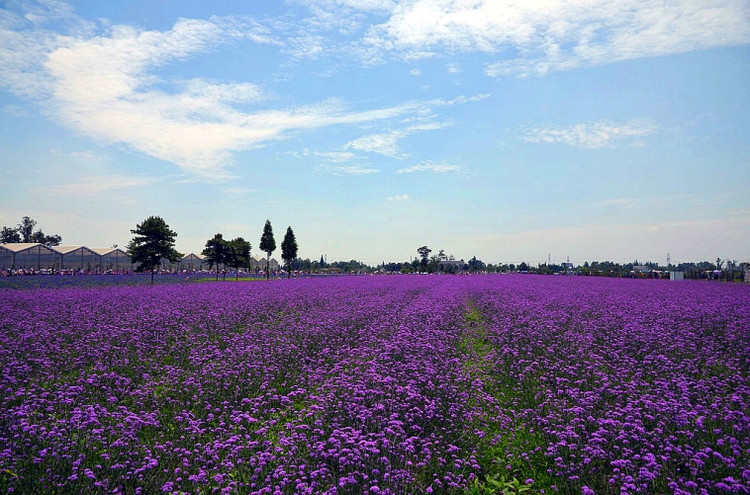 2017端午节成都近郊游好去处