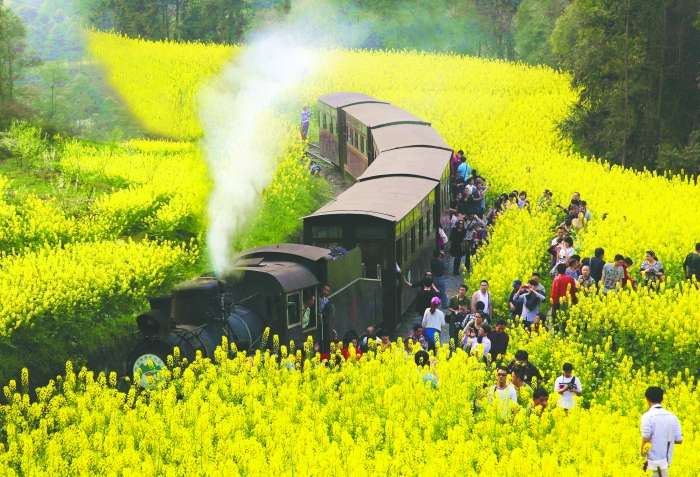 适合情侣游玩的乐山旅行攻略