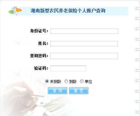2017年湖南新型农民养老保险个人账户查询