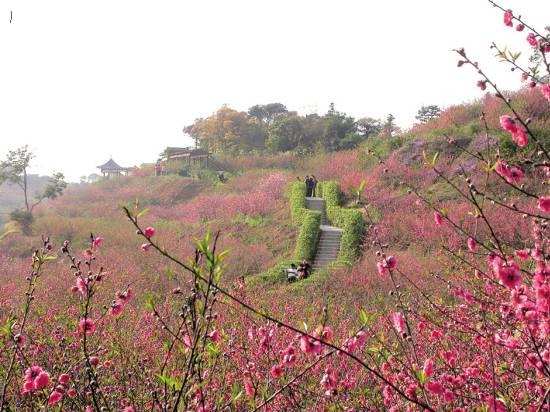 2017清明节广州登高踏青好去处