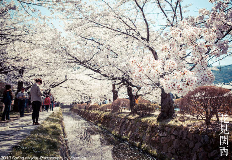 日本哲学之道旅游攻略