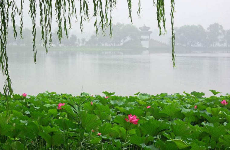 大暑节气钓鱼的技巧