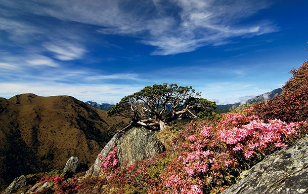 风景摄影的光圈与快门运用时机